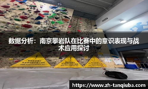 数据分析：南京攀岩队在比赛中的意识表现与战术应用探讨