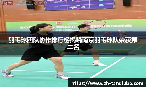 羽毛球团队协作排行榜揭晓南京羽毛球队荣获第二名